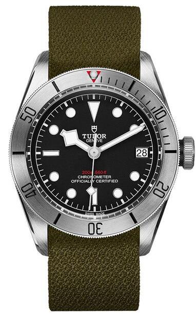 Replica Tudor Heritage Black Bay M79730-0004 watch